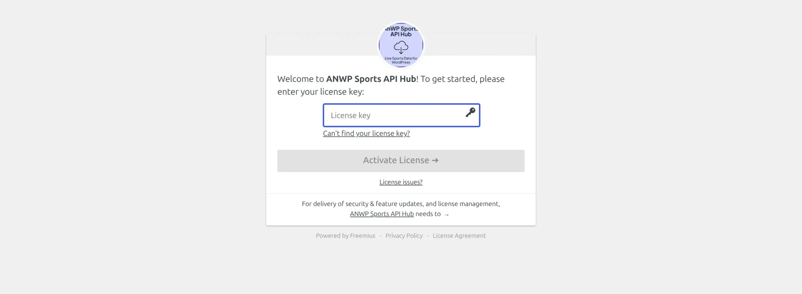 The licence activation screen on first run