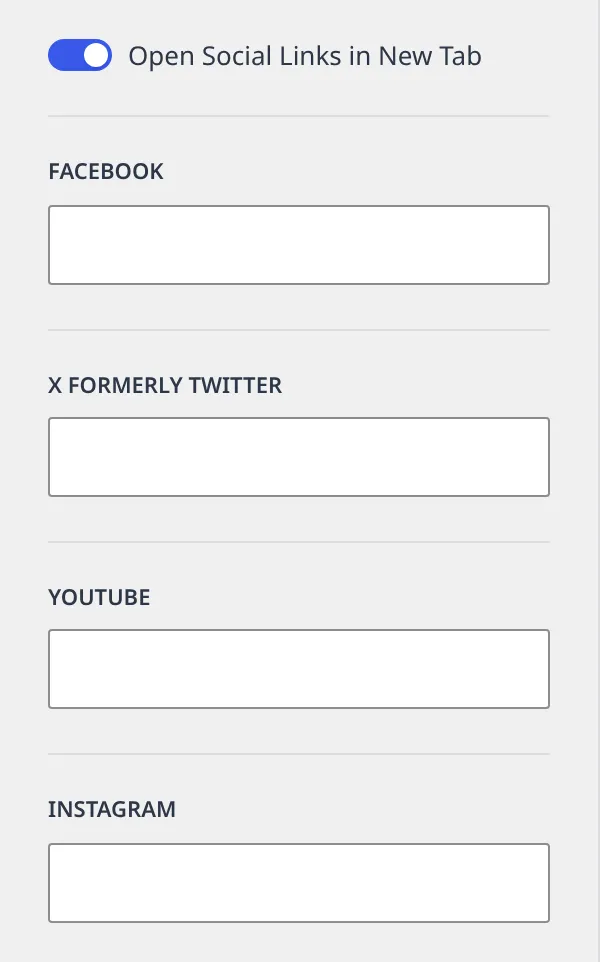 The General Social Links section in the Customizer, showing the URL text fields for Facebook, X, YouTube and Instagram