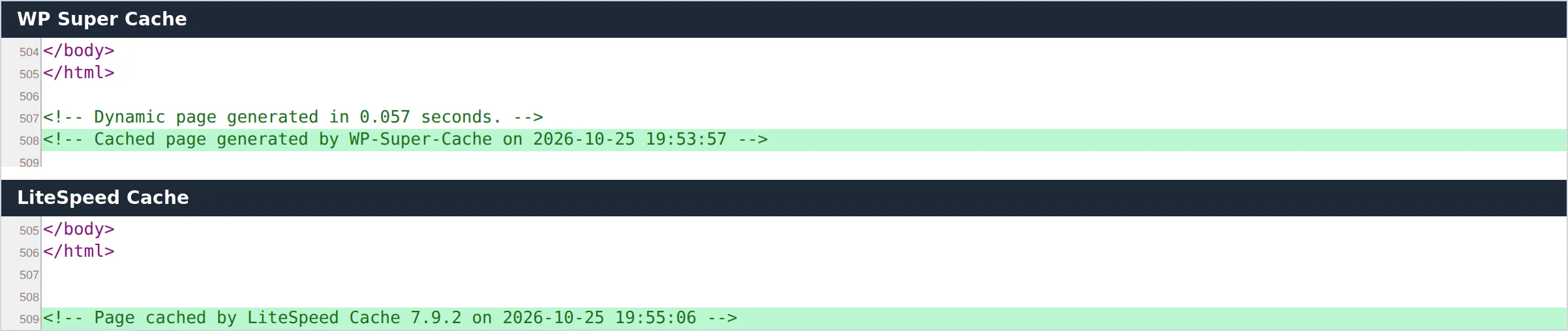 Bottom of the page source showing the WP Super Cache and LiteSpeed Cache signature comments with the time each page was cached