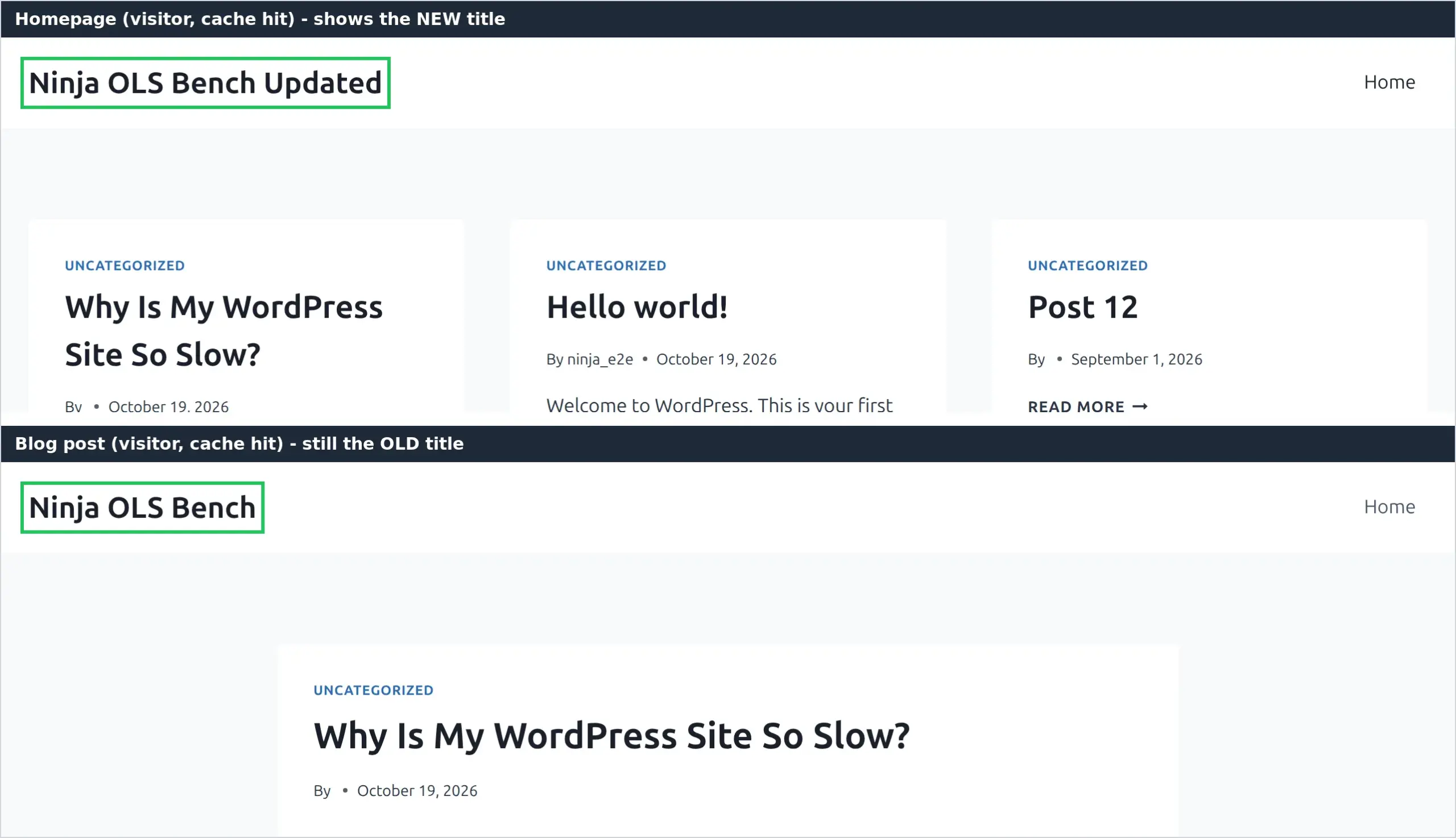 Two pages of the same site seen by a logged-out visitor after a Customizer site title change - the homepage shows the new title, a blog post still shows the old one