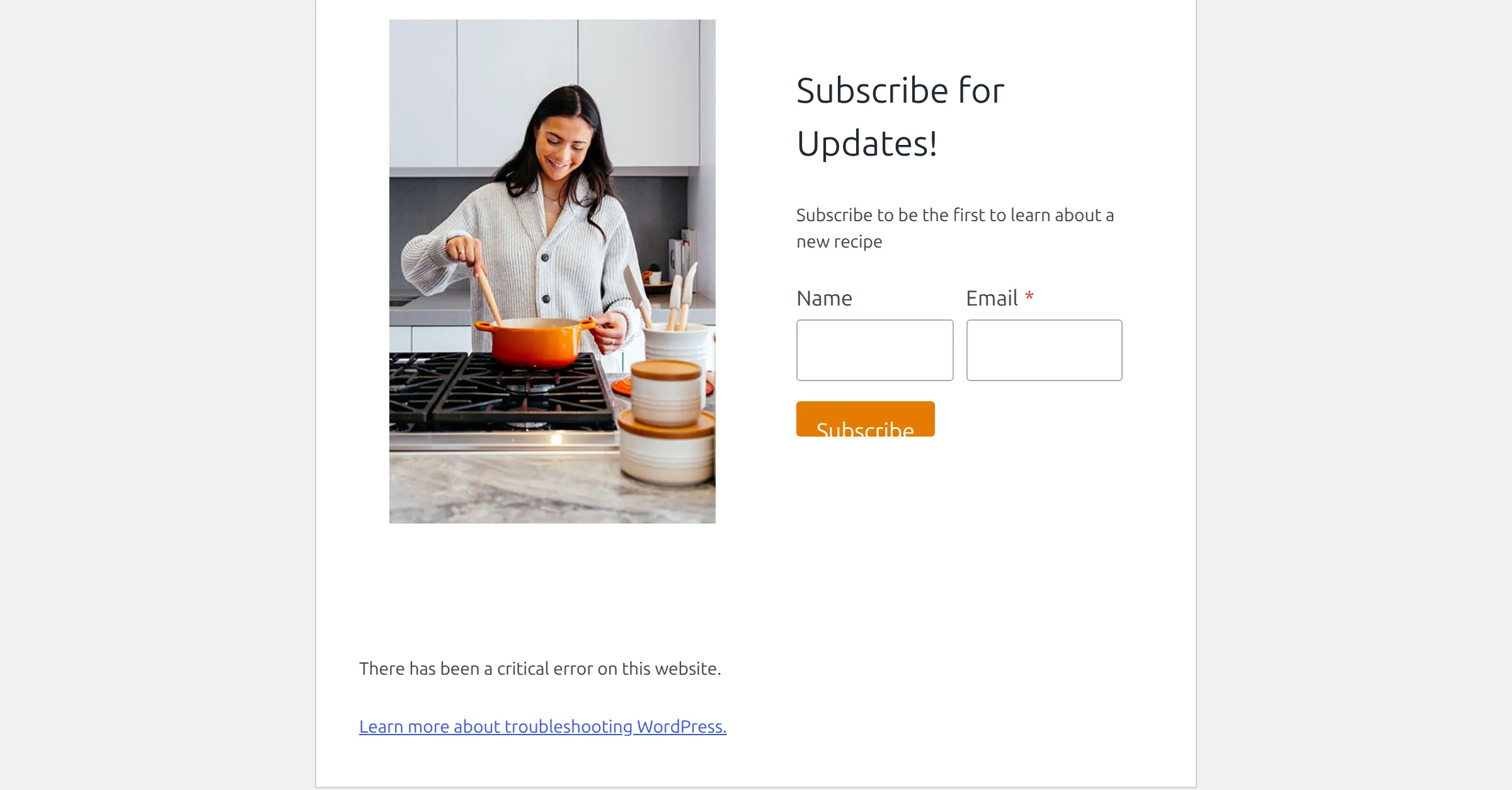 A half-loaded WordPress homepage squeezed into a white box, with "There has been a critical error on this website" at the bottom where the page stopped